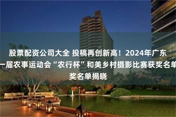 股票配资公司大全 投稿再创新高！2024年广东省第一届农事运动会“农行杯”和美乡村摄影比赛获奖名单揭晓