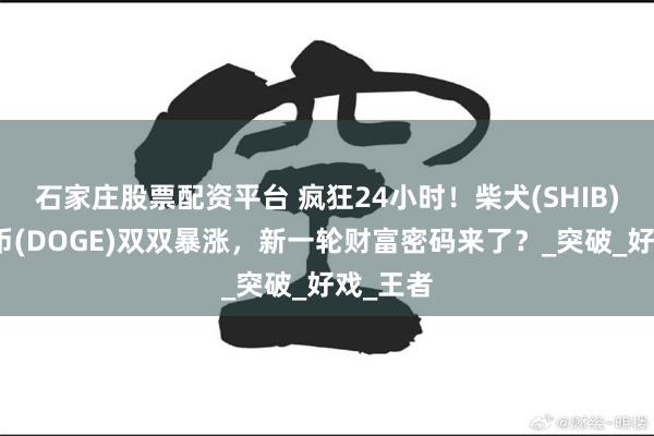石家庄股票配资平台 疯狂24小时！柴犬(SHIB)和狗狗币(DOGE)双双暴涨，新一轮财富密码来了？_突破_好戏_王者