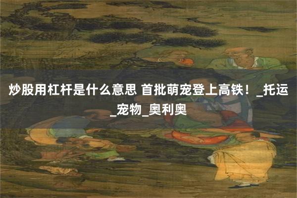 炒股用杠杆是什么意思 首批萌宠登上高铁！_托运_宠物_奥利奥