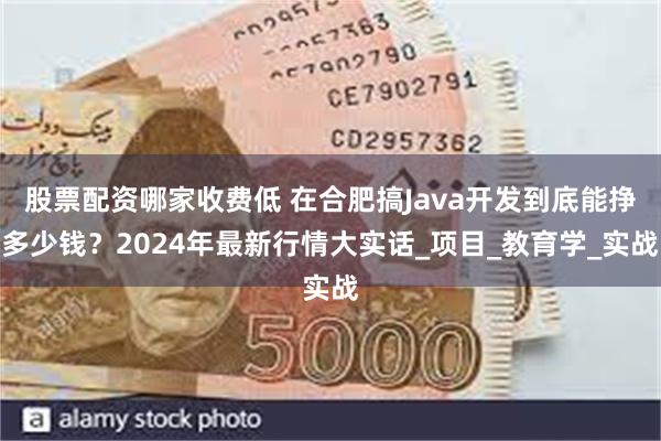 股票配资哪家收费低 在合肥搞Java开发到底能挣多少钱？2024年最新行情大实话_项目_教育学_实战