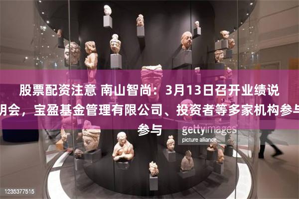 股票配资注意 南山智尚：3月13日召开业绩说明会，宝盈基金管理有限公司、投资者等多家机构参与