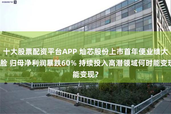 十大股票配资平台APP 灿芯股份上市首年便业绩大变脸 归母净利润暴跌60% 持续投入高潜领域何时能变现？