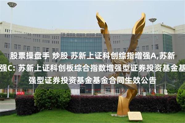 股票操盘手 炒股 苏新上证科创综指增强A,苏新上证科创综指增强C: 苏新上证科创板综合指数增强型证券投资基金基金合同生效公告
