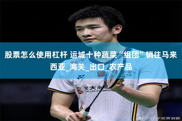 股票怎么使用杠杆 运城十种蔬菜“组团”销往马来西亚_海关_出口_农产品