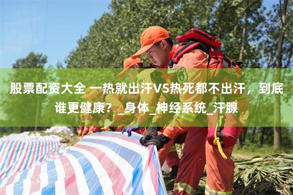 股票配资大全 一热就出汗VS热死都不出汗，到底谁更健康？_身体_神经系统_汗腺