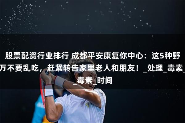 股票配资行业排行 成都平安康复你中心：这5种野菜千万不要乱吃，赶紧转告家里老人和朋友！_处理_毒素_时间