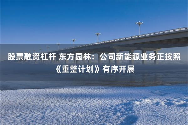 股票融资杠杆 东方园林：公司新能源业务正按照《重整计划》有序开展