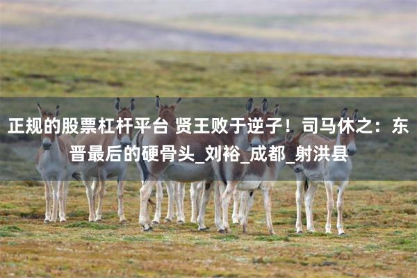 正规的股票杠杆平台 贤王败于逆子！司马休之：东晋最后的硬骨头_刘裕_成都_射洪县