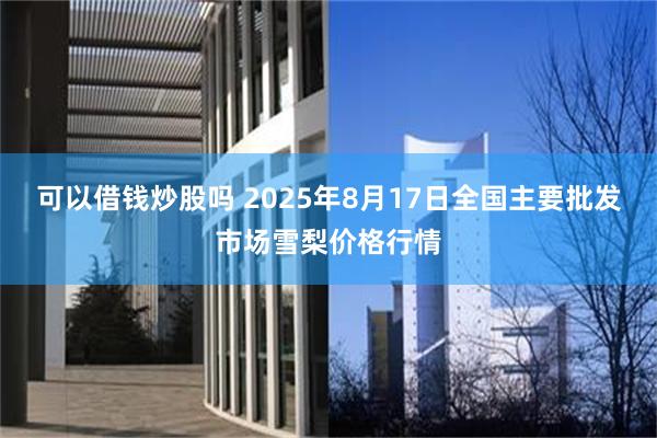 可以借钱炒股吗 2025年8月17日全国主要批发市场雪梨价格行情