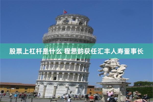 股票上杠杆是什么 程思韵获任汇丰人寿董事长