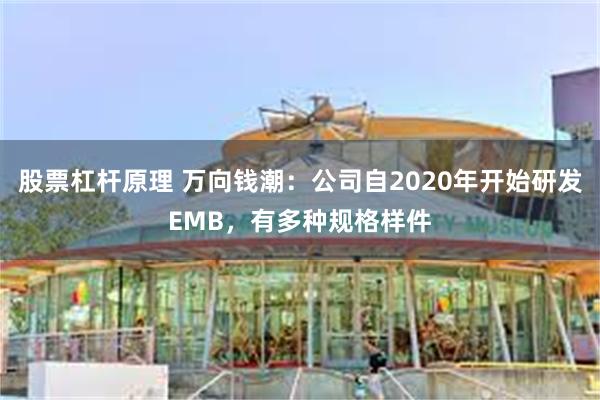 股票杠杆原理 万向钱潮：公司自2020年开始研发EMB，有多种规格样件