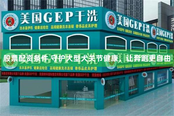 股票配资条件 守护大型犬关节健康，让奔跑更自由
