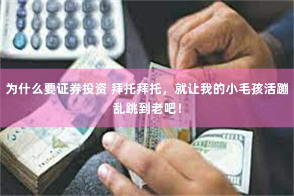为什么要证券投资 拜托拜托，就让我的小毛孩活蹦乱跳到老吧！